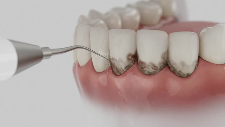 Reliable Dental contractor in Cerro Gordo, IL by Dentist Open Now